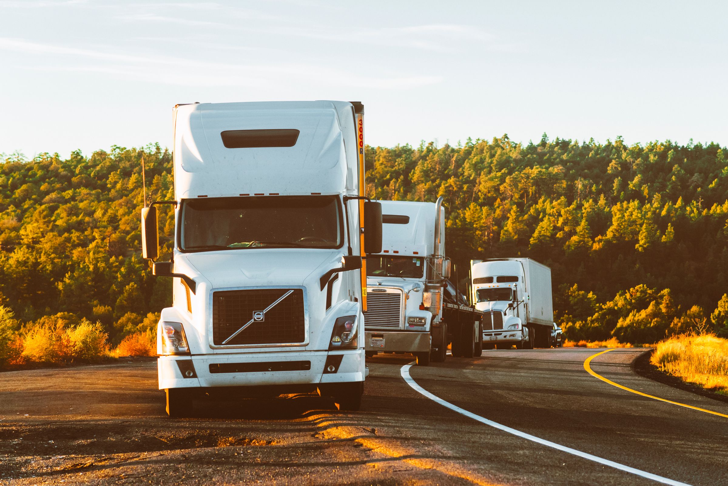 Road freight transporters